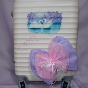 ΒΑΛΙΤΣΑ ΜΕ ΘΕΜΑ ΤΟΝ ΚΥΚΝΟ