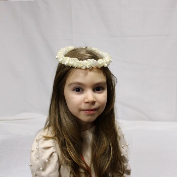 ΣΤΕΦΑΝΑΚΙ ΕΚΡΟΥ ΜΕ ΡΟΖ ΛΟΥΛΟΥΔΙΑ