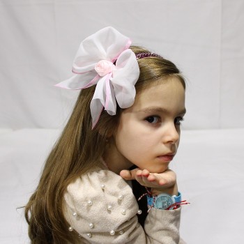 ΣΤΕΚΑ ΜΕ ΛΕΥΚΟ ΦΙΟΓΚΟ