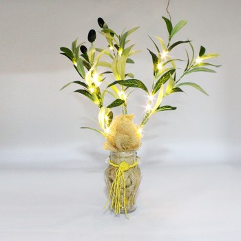 ΕΛΙΑ ΜΕ ΦΩΣ ΣΕ ΑΜΦΟΡΕΑ