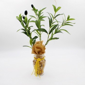 ΕΛΙΑ ΜΕ ΦΩΣ ΣΕ ΑΜΦΟΡΕΑ ΕΛΙΑ ΜΕ ΦΩΣ ΣΕ ΑΜΦΟΡΕΑ