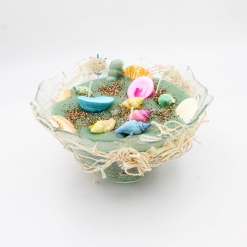 ΓΥΑΛΙΝΟ ΒΑΖΟ ΜΕ ΦΥΣΙΚΑ ΚΟΧΥΛΙΑ