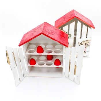 ΑΥΓΟΘΗΚΗ - ΣΠΙΤΑΚΙ