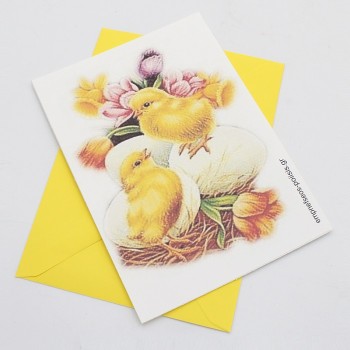 ΚΑΡΤΑ ΜΕ ΠΟΥΛΑΚΙΑ ΚΑΡΤΑ ΜΕ ΠΟΥΛΑΚΙΑ