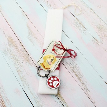 ΛΑΜΠΑΔΑ ΜΕ ΠΑΤΟΥΣΑ ΣΚΥΛΟΥ ΑΠΟ ΤΗ ΡΕΝΕ ΛΑΜΠΑΔΑ ΜΕ ΠΑΤΟΥΣΑ ΣΚΥΛΟΥ ΑΠΟ ΤΗ ΡΕΝΕ