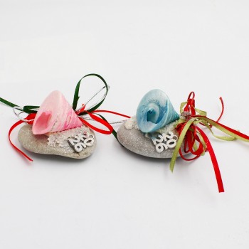 ΚΟΧΥΛΙ ΣΕ ΒΟΤΣΑΛΟ ΘΑΛΑΣΣΗΣ