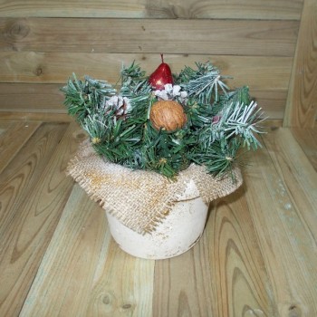 ΚΑΣΠΩ ΜΕ ΚΛΑΔΙΑ ΕΛΑΤΟΥ