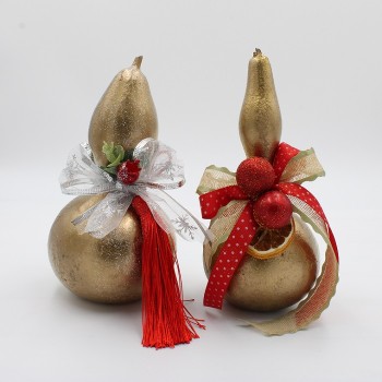 ΦΥΣΙΚΕΣ ΚΟΛΟΚΥΘΕΣ