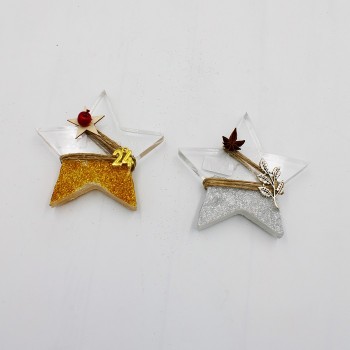 ΑΣΤΕΡΙΑ ΠΛΕΞΙΓΚΛΑΣ ΜΕ ΧΡΥΣΟΣΚΟΝΗ ΑΣΤΕΡΙΑ ΠΛΕΞΙΓΚΛΑΣ ΜΕ ΧΡΥΣΟΣΚΟΝΗ