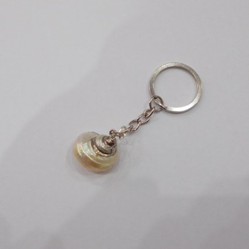 ΜΠΡΕΛΟΚ ΚΟΧΥΛΙ