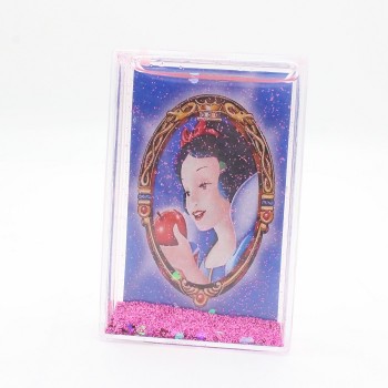 ΜΠΟΜΠΟΝΙΕΡΑ ΠΛΕΞΙΓΚΛΑΣ ΓΙΑ ΦΩΤΟΓΡΑΦΙΑ