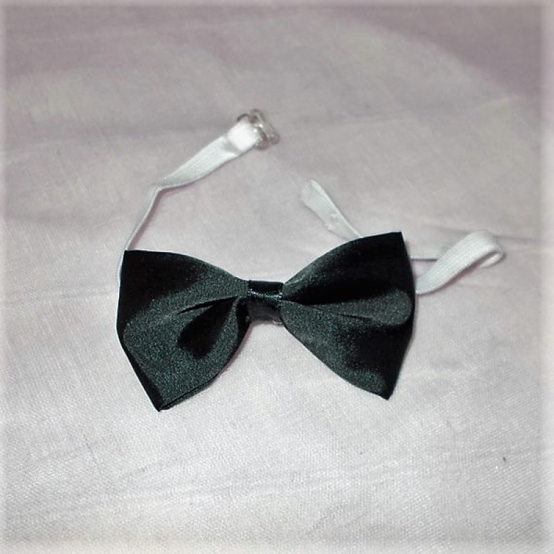 ΥΦΑΣΜΑΤΙΝΑ ΠΑΠΙΓΙΟΝ