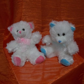 ΑΡΚΟΥΔΑΚΙΑ ΛΟΥΤΡΙΝΑ