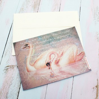 VINTAGE ΠΡΟΣΚΛΗΤΗΡΙΟ ΜΕ ΚΥΚΝΟΥΣ